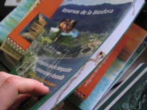 A termite-eaten book found on the shelves in the offices of the Tsimane'-Moseten indigenous council, whose territory overlaps the Pilón Lajas Biosphere Reserve. Digging through boxes for days here, I only found one thesis and little other evidence of past research, despite the fact that dozens of research projects have been carried out on these lands since the 1980s.