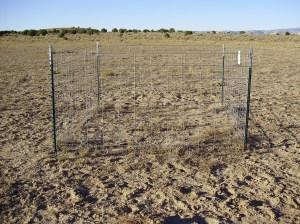 A 'partial' exclosure in October 2012, 1 year after construction. Photo by Dustin Ranglack