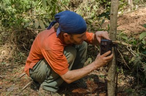 Setting up a camera trap.
