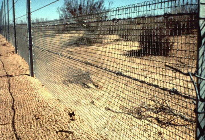 Example of a dryland fence barrier. From: Photo by William I. Boarman, USGS, From press release: USGS Report Finds Too Few Studies Assess the Success of Desert Tortoise Recovery Actions, Aug. 10, 2006. http://online.wr.usgs.gov/ocw/g_agassizii/barrier_fence.jpg