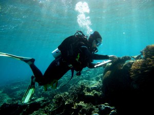 Kirsty Nash in action on the coral reefs. Credit: James Tan.