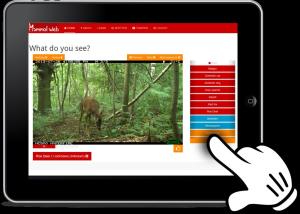 Mockup of our camera trap photo classification page running on a mobile device.