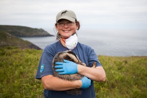 Rosie Woodroffe is a field ecologist at ZSL, equally fond of badgers and cattle