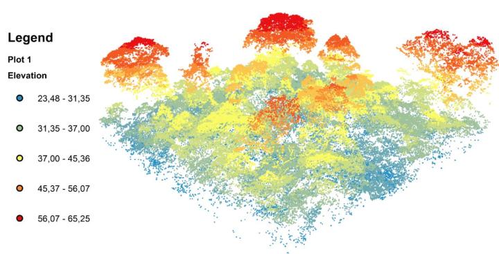 LiDAR-generated 3D model of forest canopy structures.