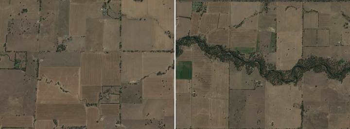 Cleared (left) and vegetated (right) riparian strips in the study region.