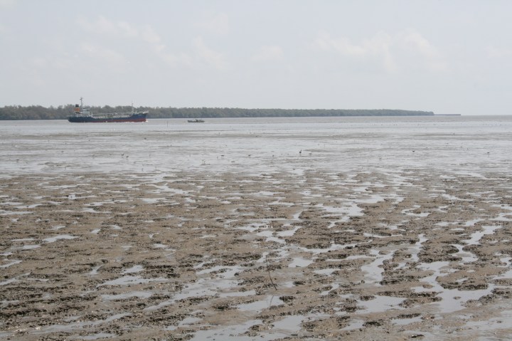 mudflats