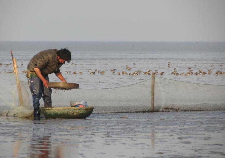 The foreshores of the Yellow Sea