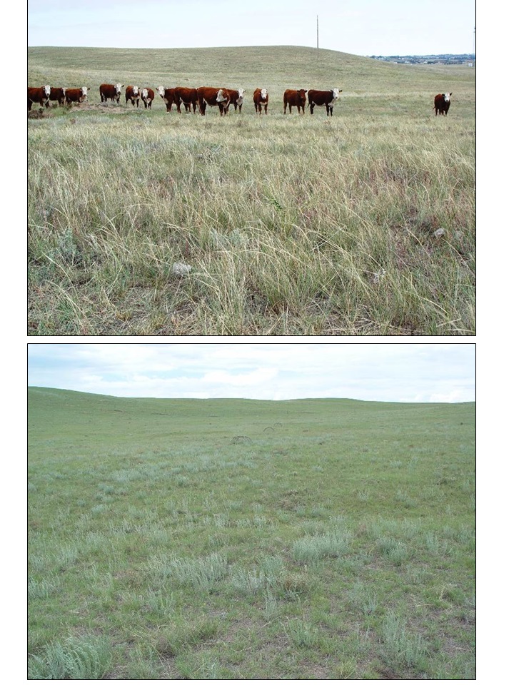 HPGRS_mixedgrass_light_vs_heavy_grazing