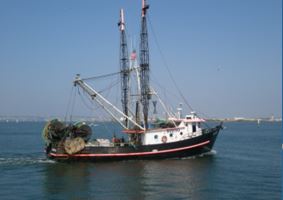 bottom-trawl survey vessel