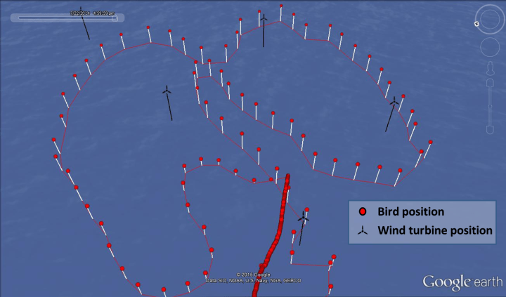 LBB flying through a wind farm