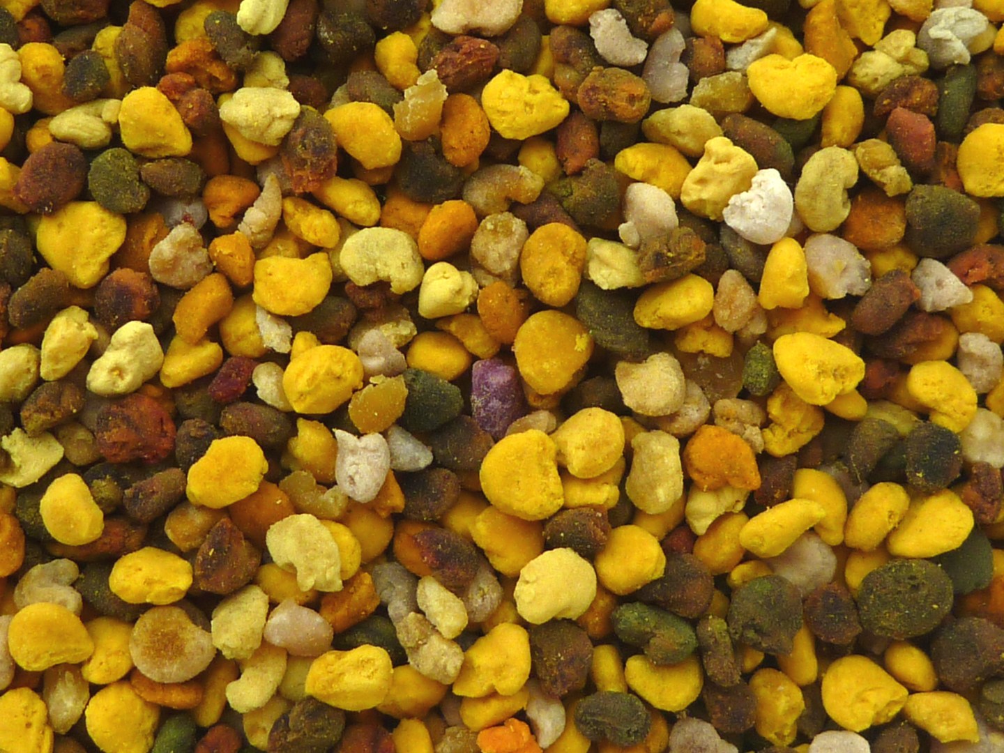 Honeybees and the boom and bust cycle of mass flowering crops – The ...