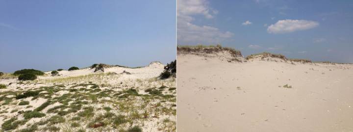 dunes-one