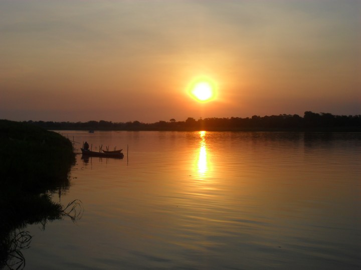 Conservation of Amazonian fish diversity requires maintenance of substantial forest cover within the floodplain landscape mosaic.