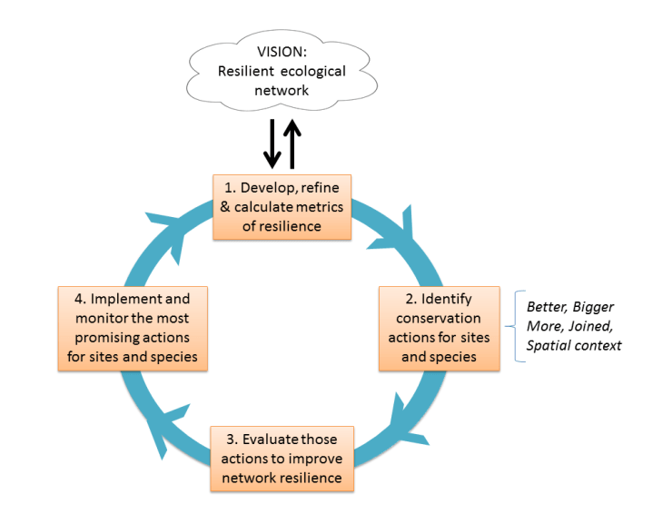 Isaac et al - Adaptive Management Cycle for implementing a resilient ecological network