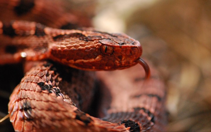 55.5 - Christopher O_Brien2