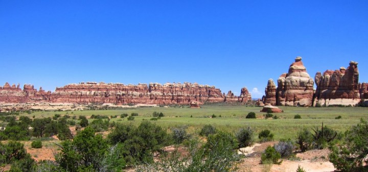 Grassland - Canyonlands National Park