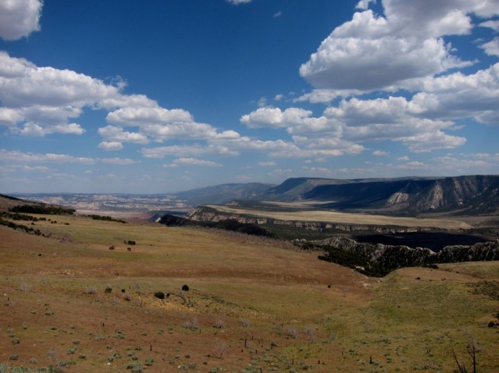Grasslands and pinyon juniper forests - Dinosaur National Park