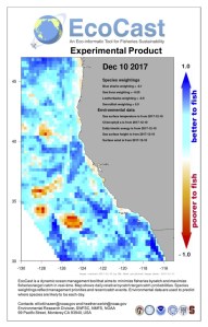 Dynamic management tools