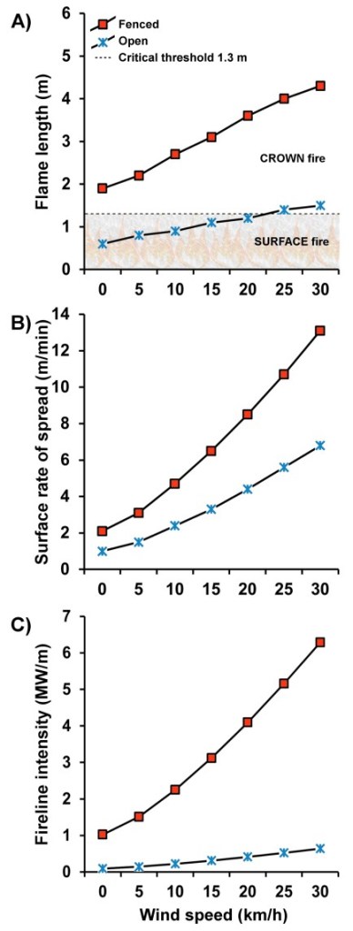 fig 4. modelled wildfire behaviour