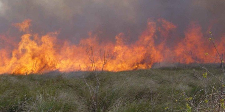 800px-A_cypress_prairie_burns_during_a_early_spring_prescribed_fir