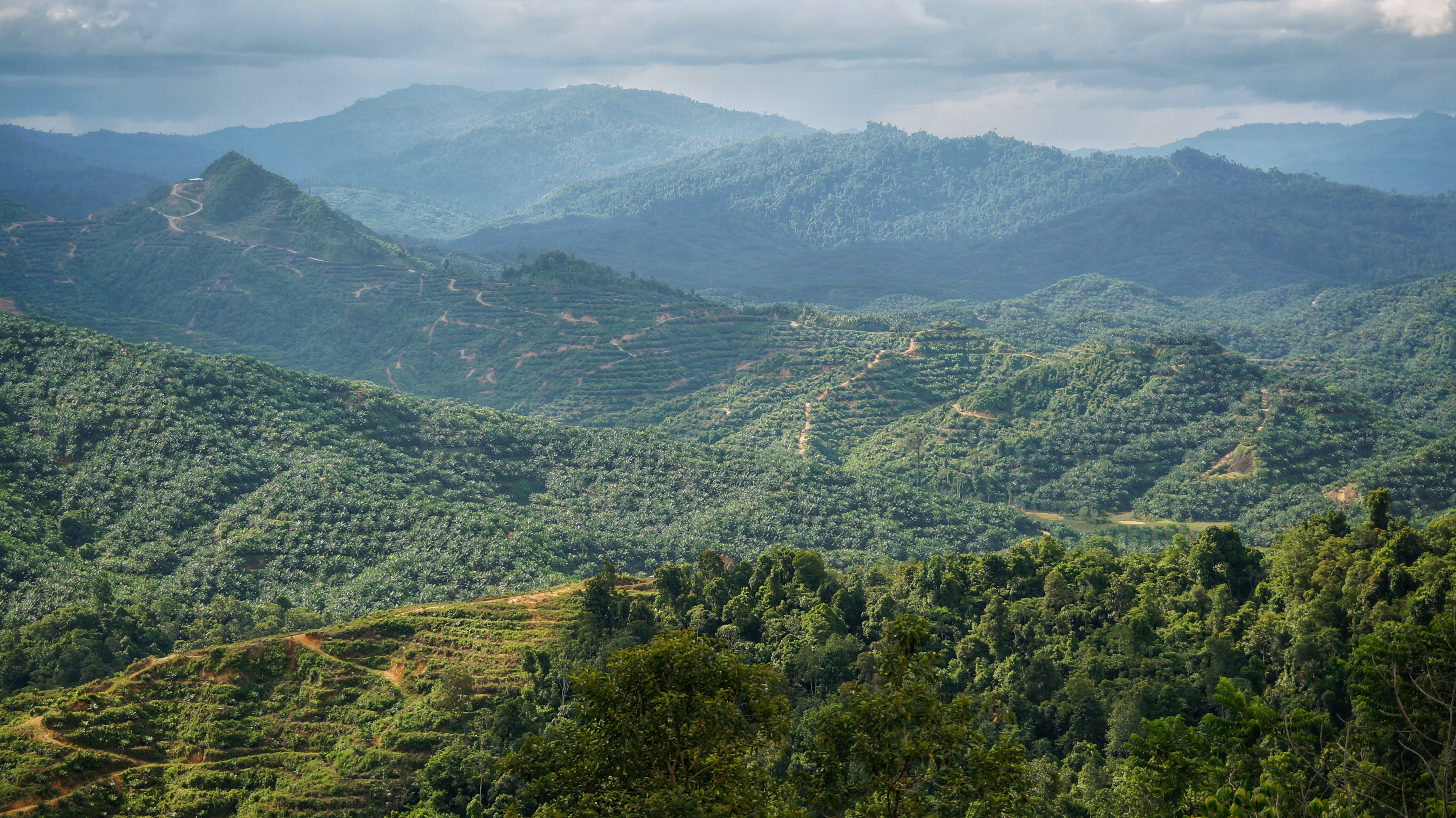 Cover stories: conservation set-asides – The Applied Ecologist