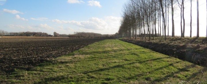 Grass Buffer_BertReubens