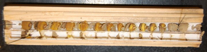 Photo 3 JAE Blog_Centrella