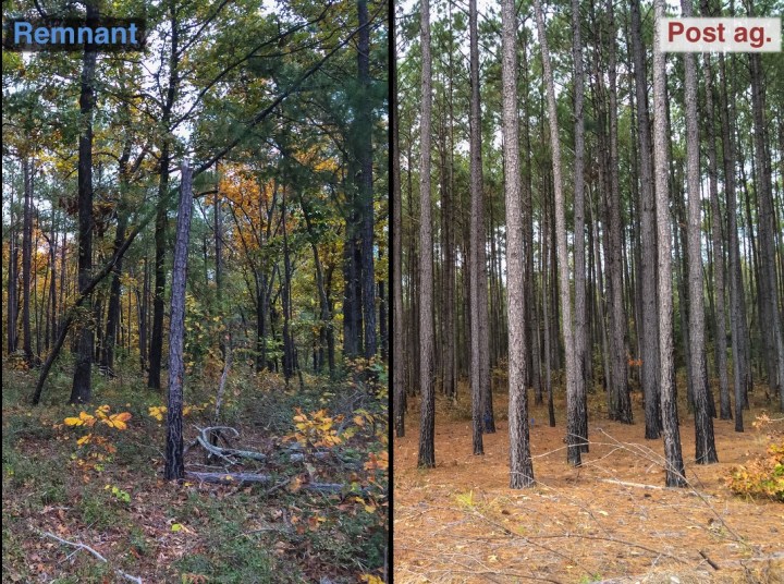 Screen Shot 2020-03-06 at 10.47.02