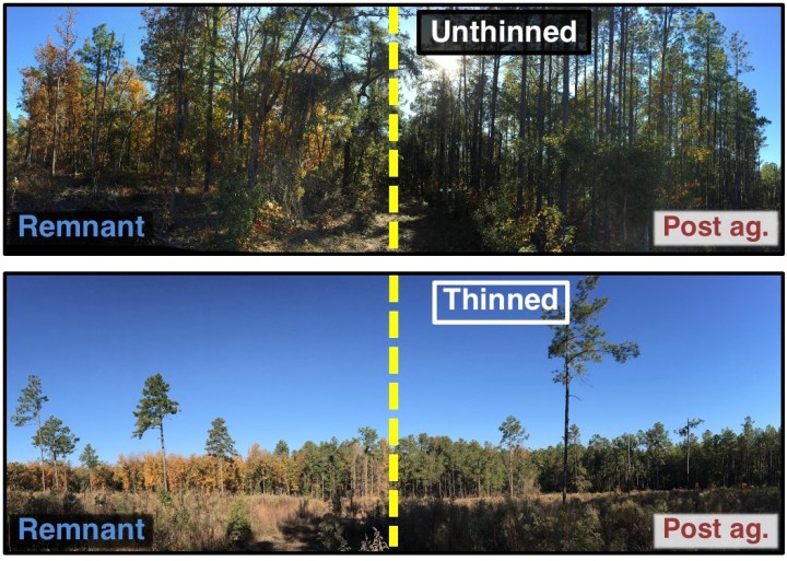 Screen Shot 2020-03-06 at 10.47.51