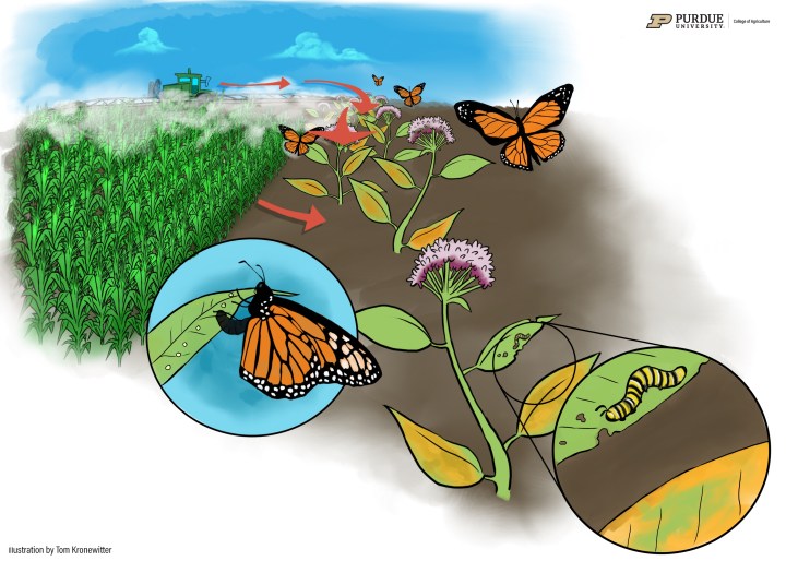 Monarch_FINAL_credit_branding