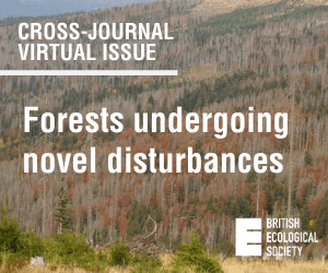 Novel Disturbances ight rail 300x250