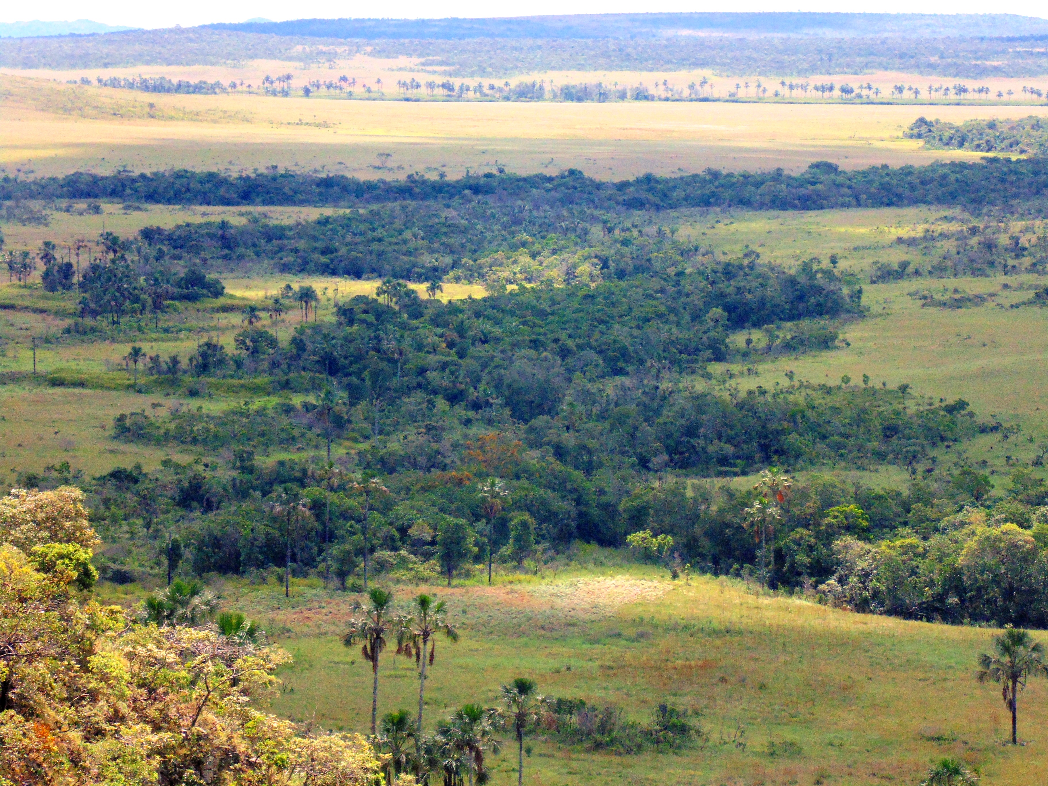 Photo_1_Bernardo-Flores_1