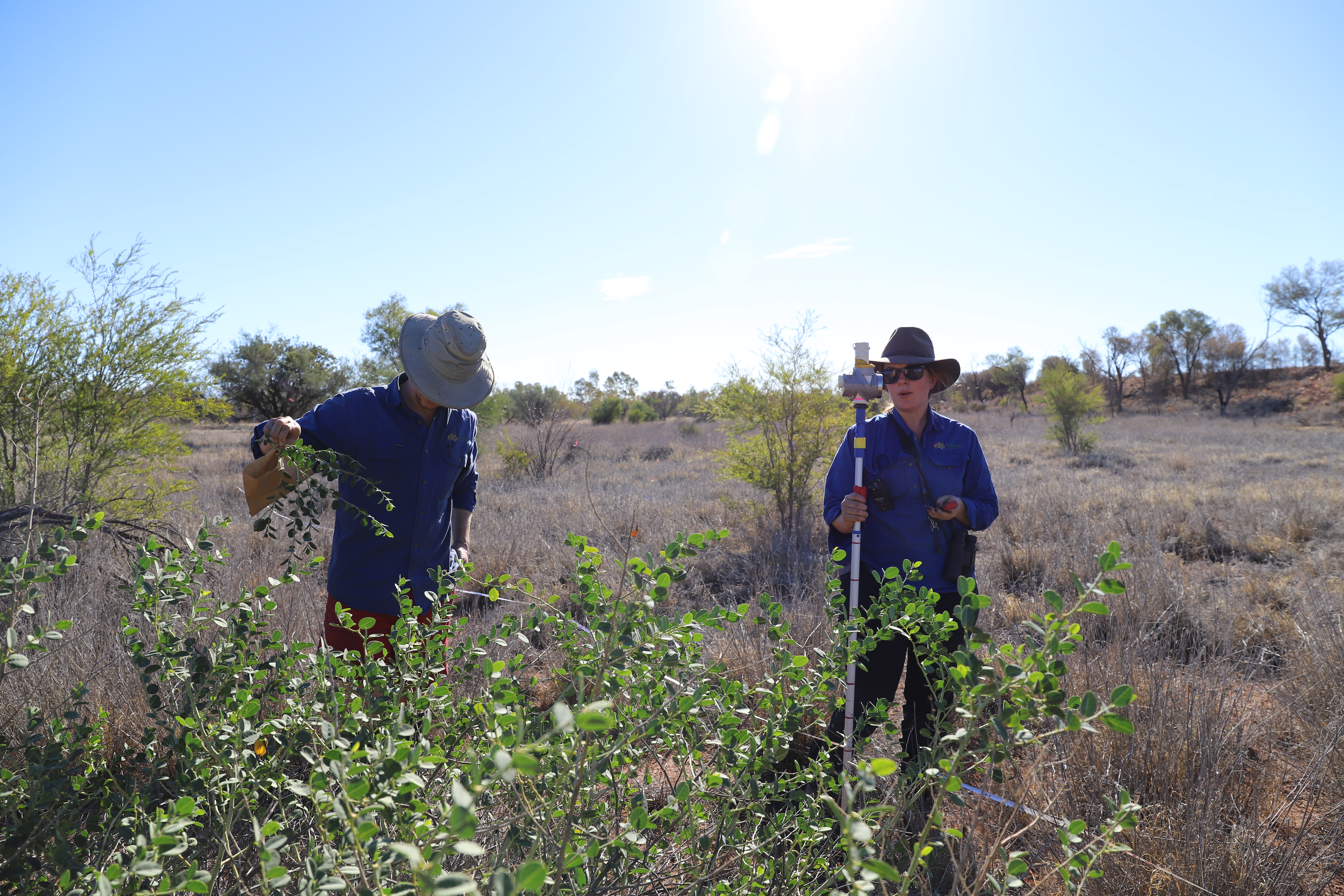 TERN Owen Springs 2019