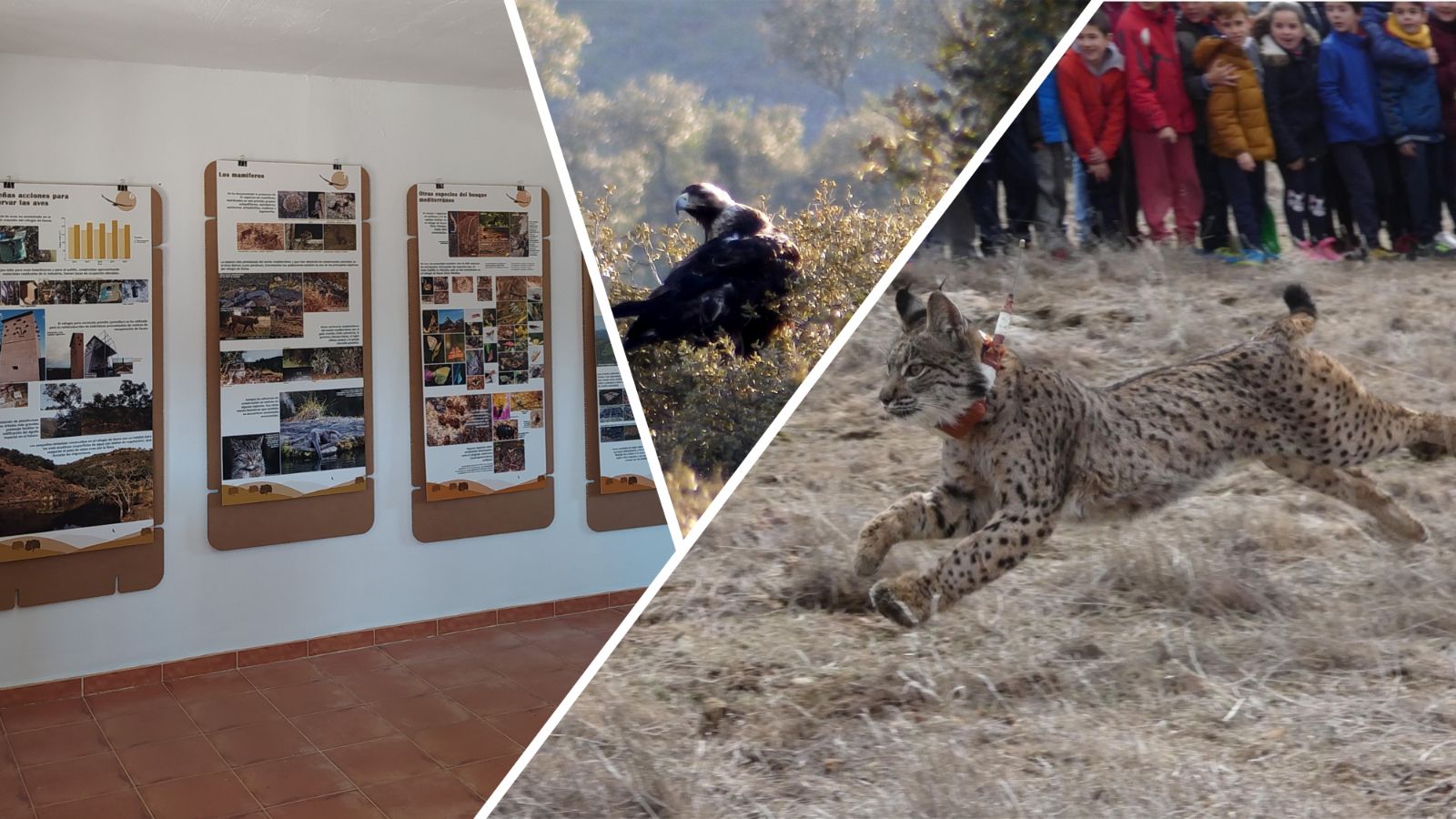 Chico Mendes Prize 2021_Twitter-3