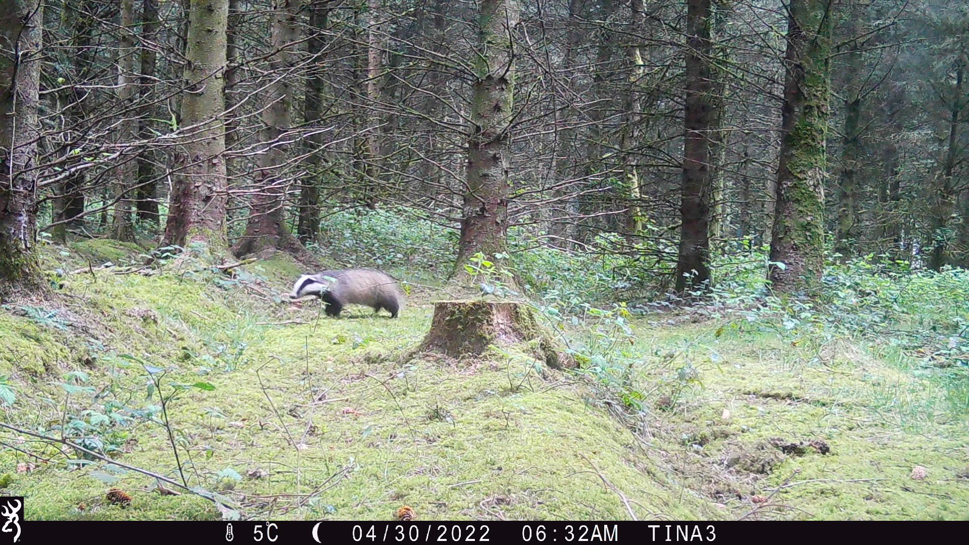 P02[103:104] TT[767] E[107:0000]G[188:0x00] BV[30:-3] IR[F:40] 2294