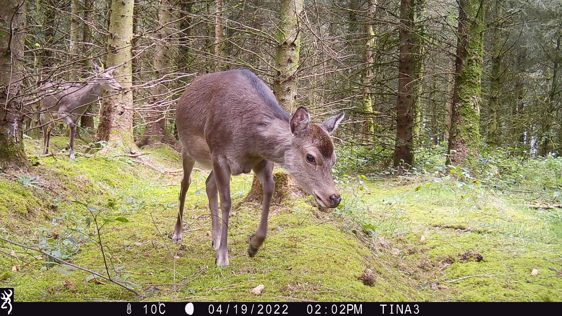 P02[396:396] TT[767] E[107:0000]G[064:0x00] BV[62:-4] IR[F:40] 2325