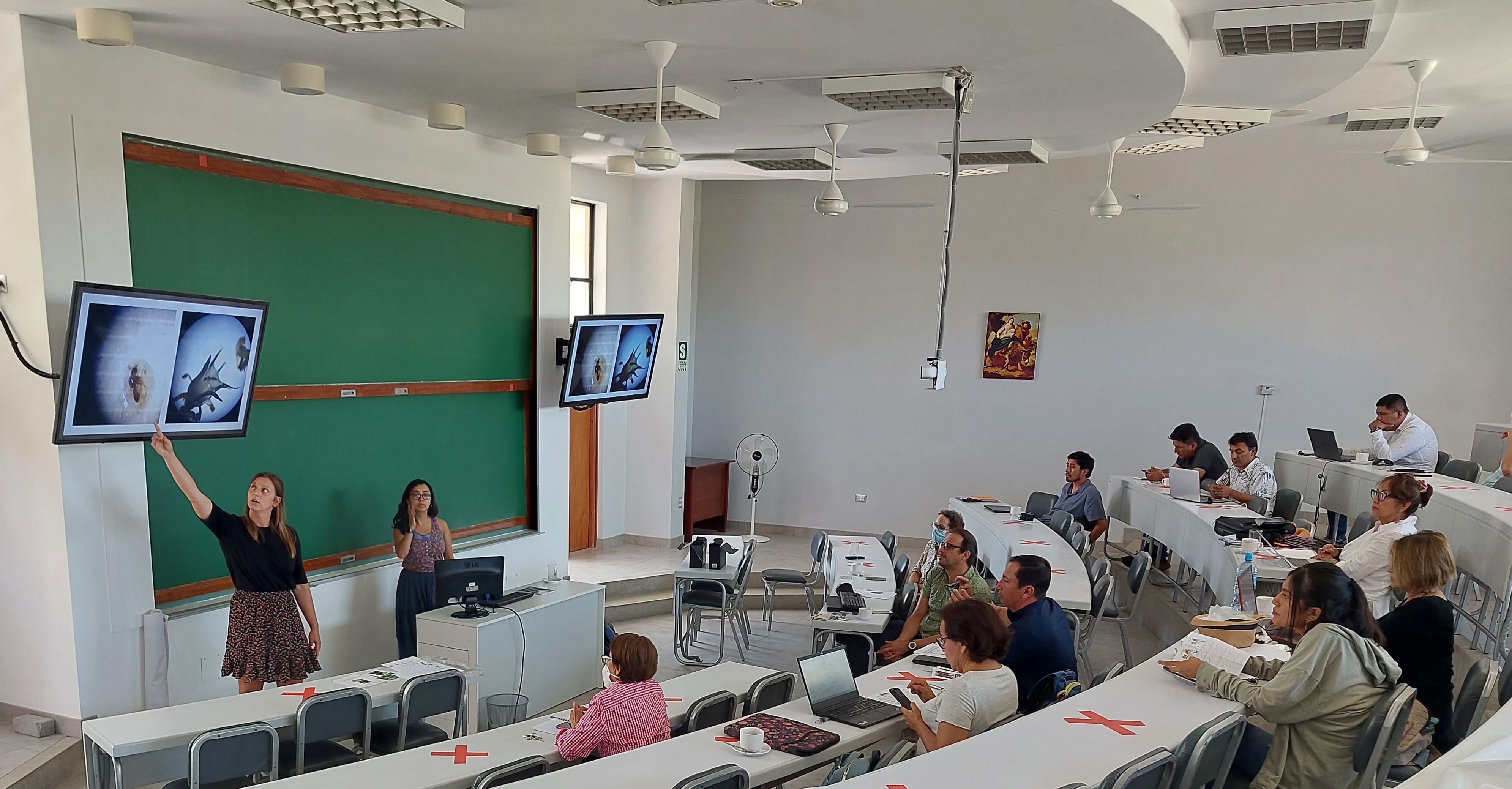 Dissemination_Niko (2)