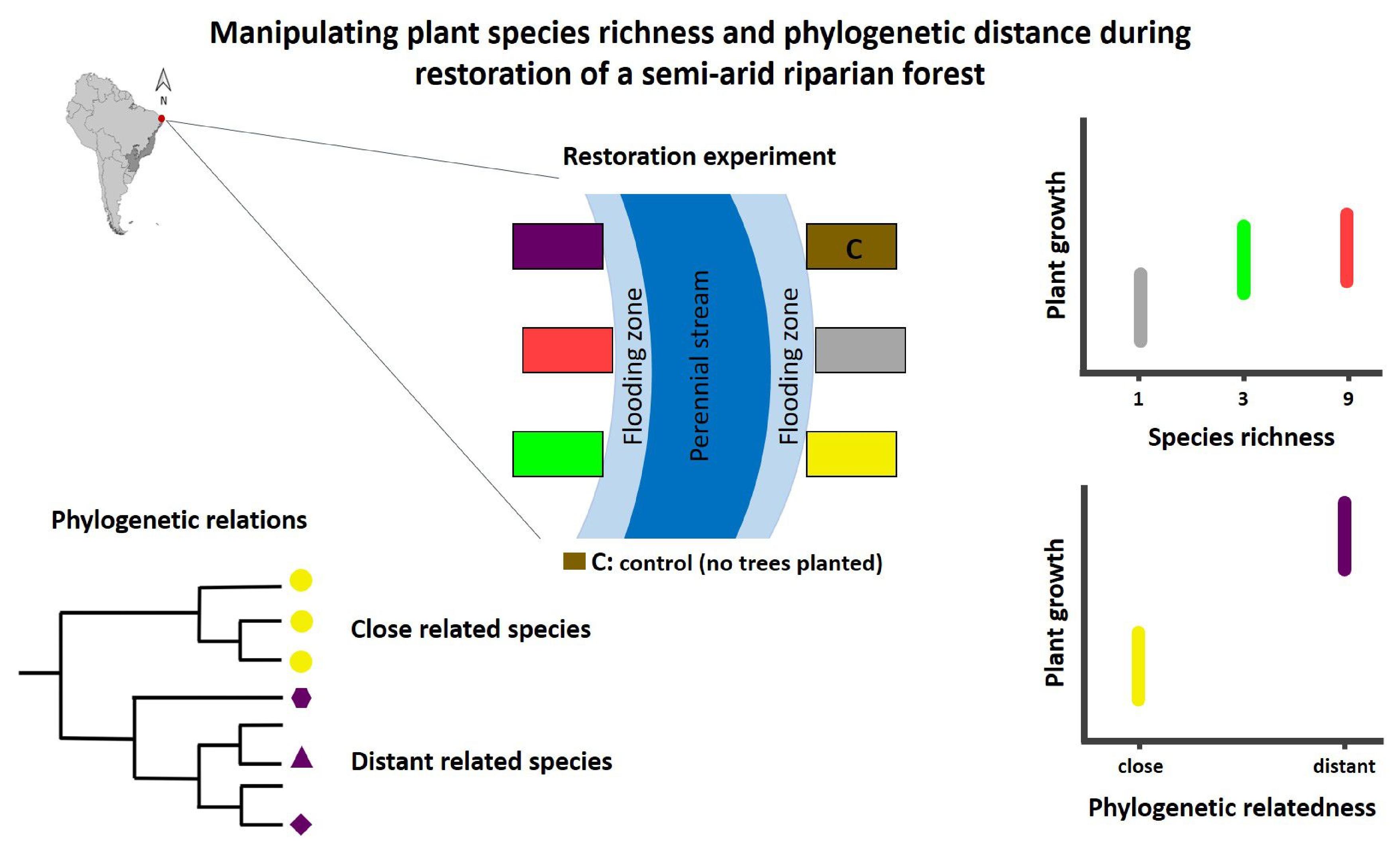 ESO-22-04-033.R1_Teixeira