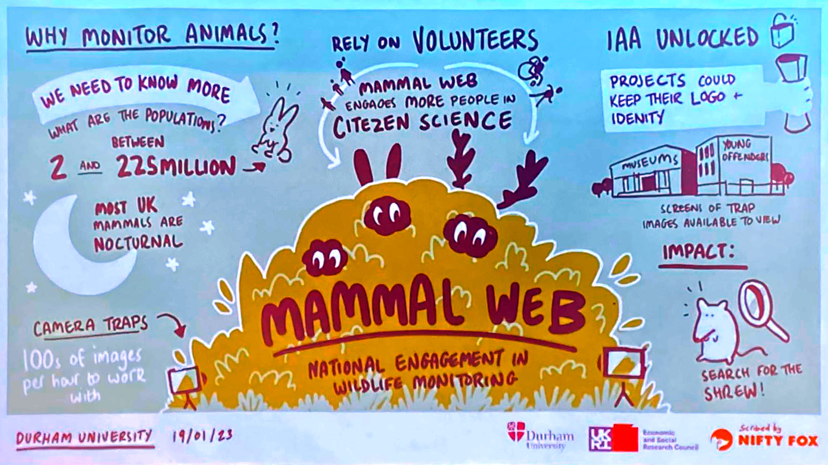 MammalWeb pictorial summary