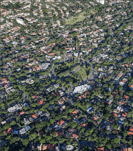Douglas Cirino: Balanced spatial distribution of green areas creates ...