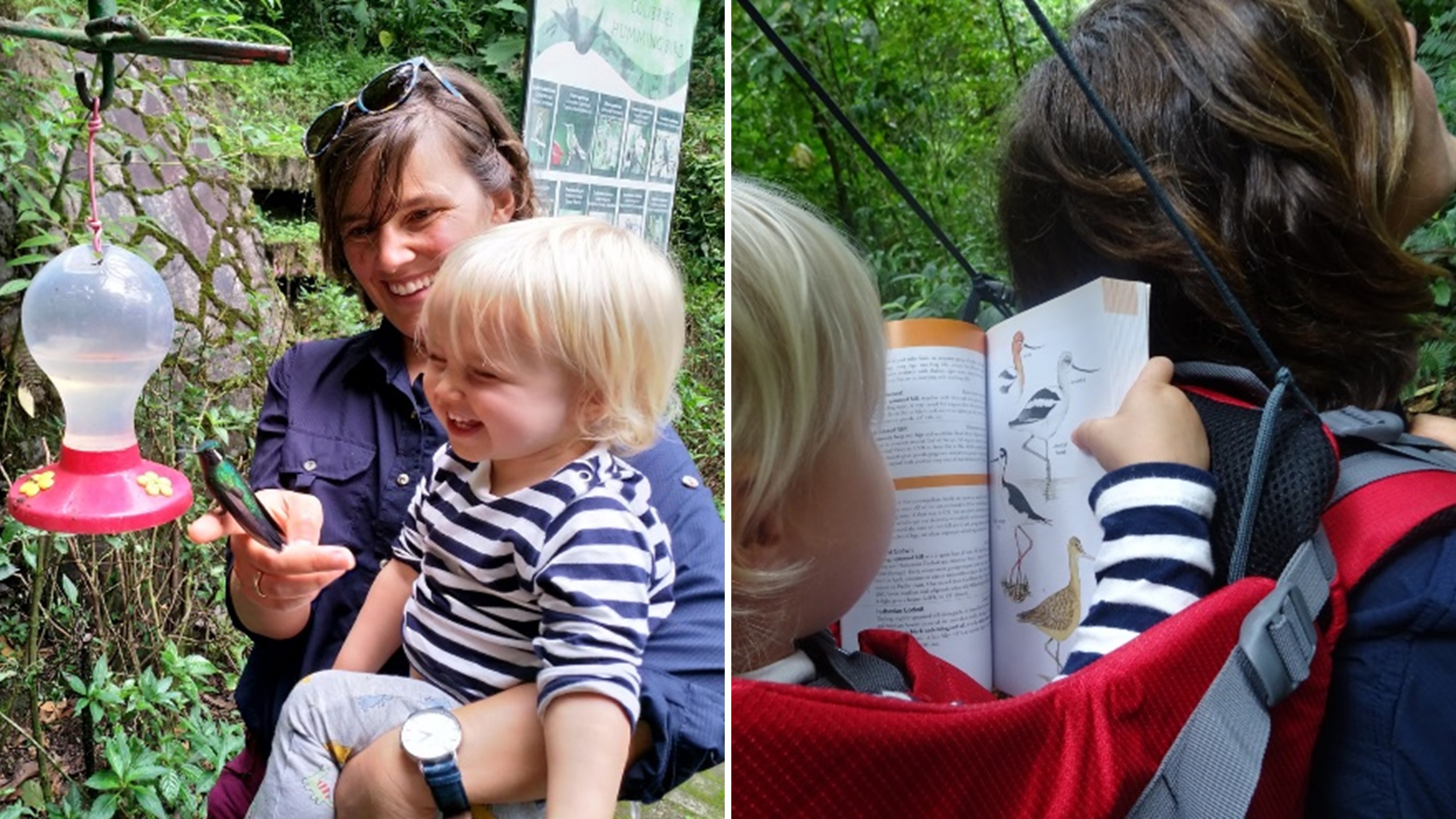 Alejandra Morán Ordóñez_collage