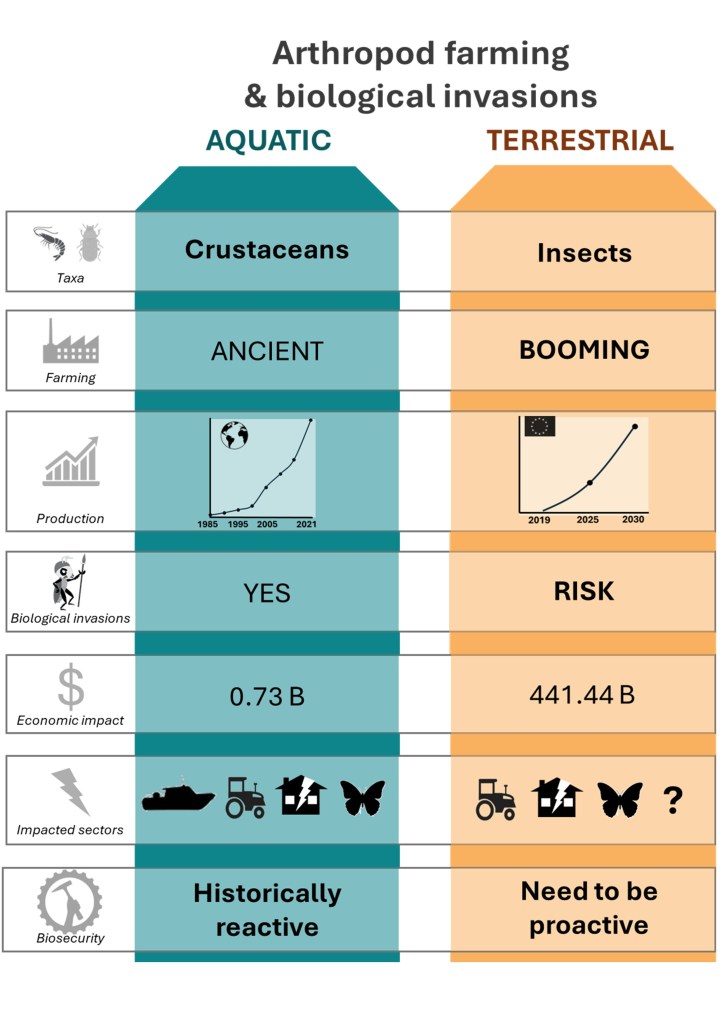 Insect Farm Chart Insect farming can repeat the invasion mistakes of aquaculture – unless ...